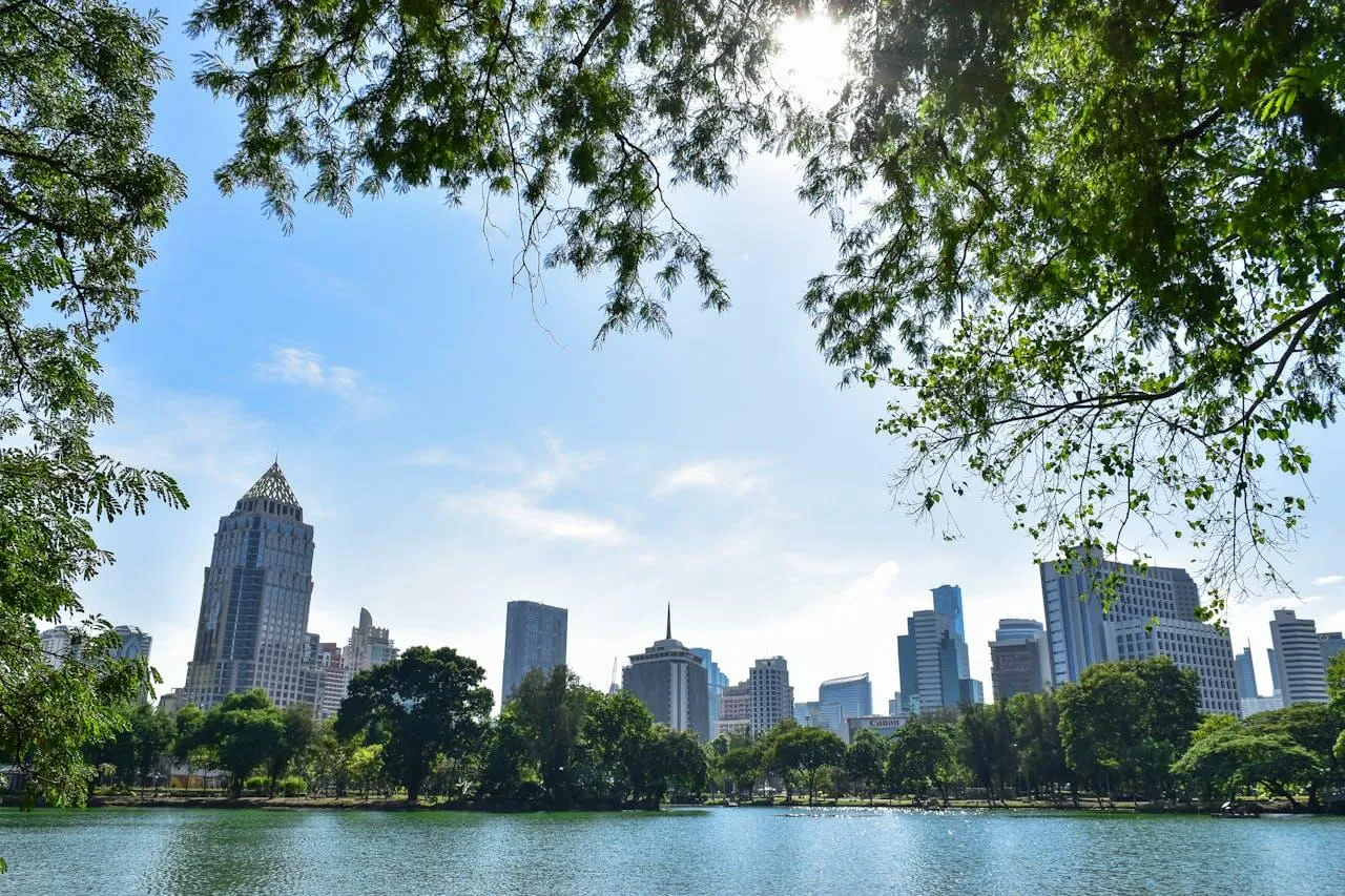 从公园眺望城市天际线，高楼​​林立，前景是树木和湖泊，天空晴朗湛蓝。