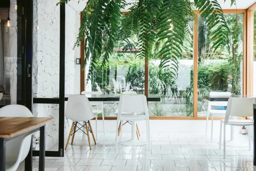 Modern cafe interior with white chairs and tables, large green plants hanging from the ceiling, and floor-to-ceiling windows showing a lush garden view.