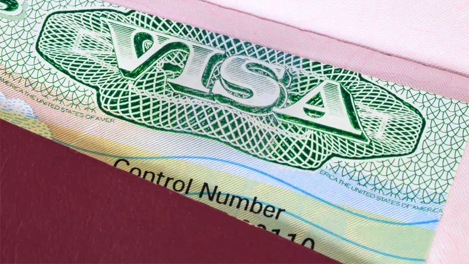 article image - Close-up of a U.S. visa with green and blue intricate designs and control number partly visible. Close-up of a U.S. visa with green and blue intricate designs and control number partly visible.