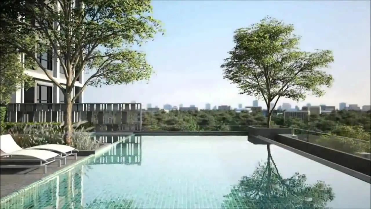article image - Rooftop infinity pool with trees and city skyline in the background. Rooftop infinity pool with trees and city skyline in the background.
