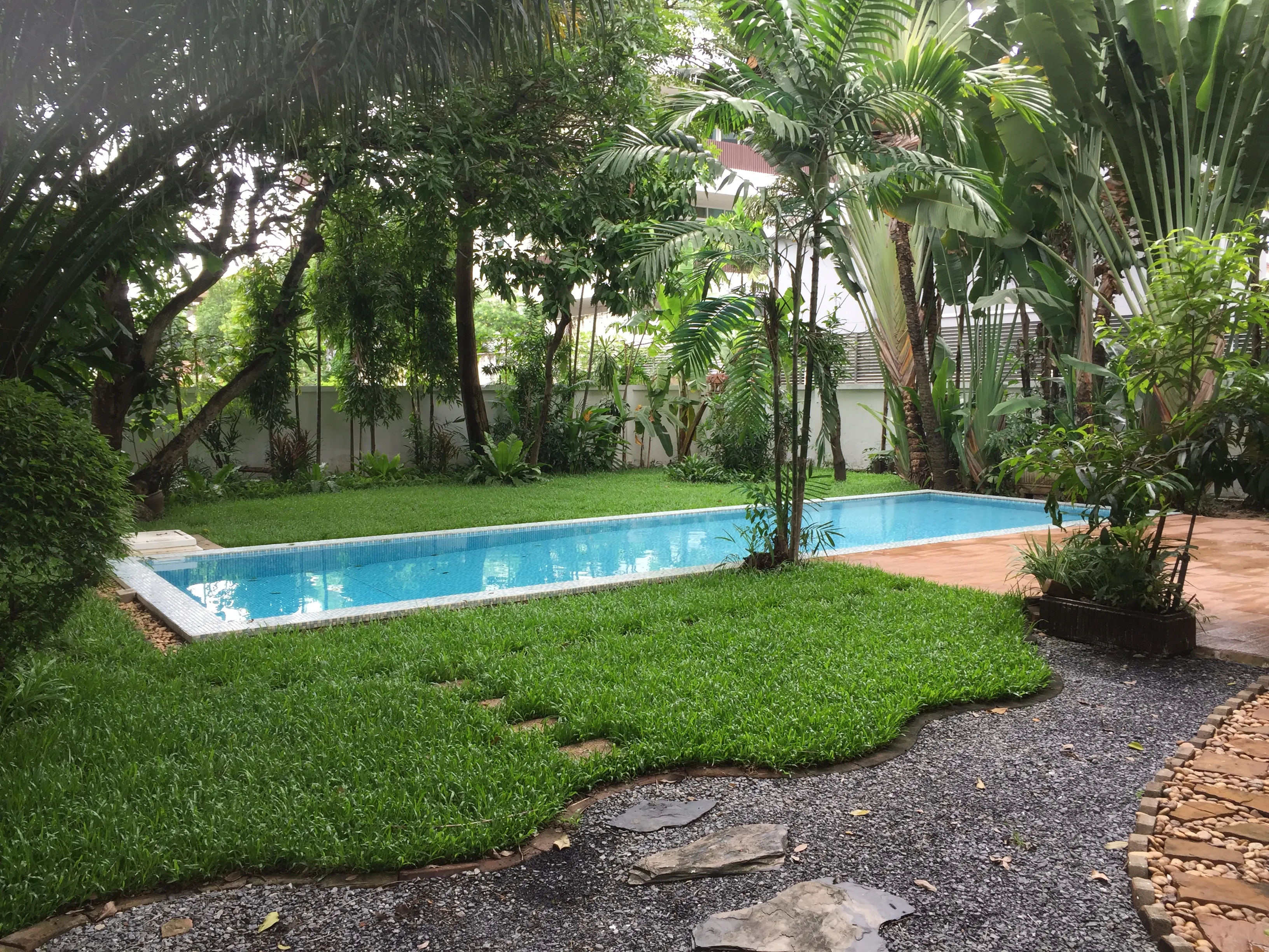 article image - A tranquil backyard garden with a rectangular swimming pool, surrounded by lush green grass, trees, and paving stones. A tranquil backyard garden with a rectangular swimming pool, surrounded by lush green grass, trees, and paving stones.