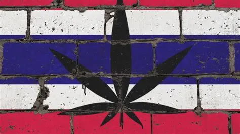 ภาพวาดใบกัญชาสีดำทับสีธงชาติไทยบนผนังอิฐที่มีพื้นผิวขรุขระ