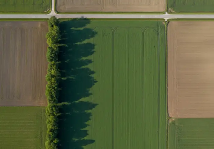 Image representing real estate category 土地