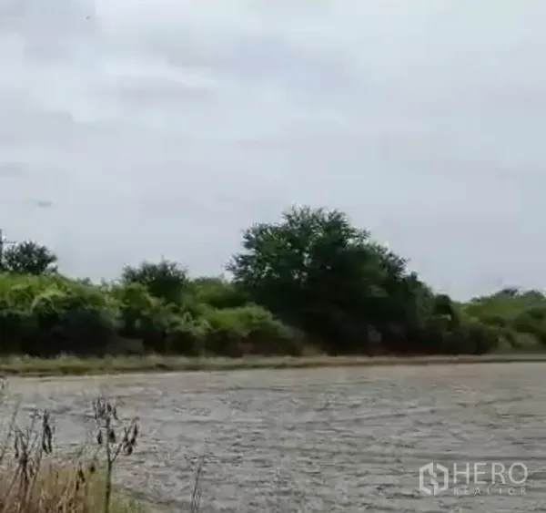Land for sale in Lam Luk Ka, Pathum Thani - Close view of a flat dried field bordered by green shrubs and mature trees.