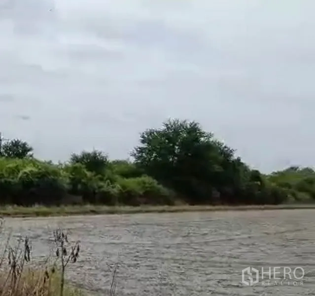 Land for sale in Lam Luk Ka, Pathum Thani - Close view of a flat dried field bordered by green shrubs and mature trees.