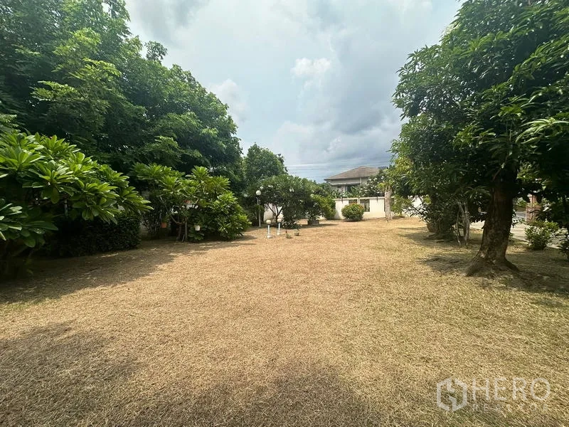 บ้าน ขายในPhra Khanong, Bangkok - สนามหญ้ากว้างพร้อมต้นไม้ใหญ่และกำแพงรอบ ในย่านเงียบสงบ