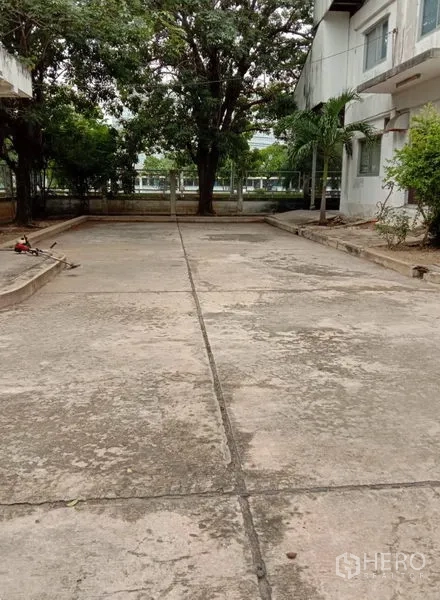 Factory for rent in Samut Prakan - Outdoor concrete yard between buildings with shade trees, ideal for truck access and parking.