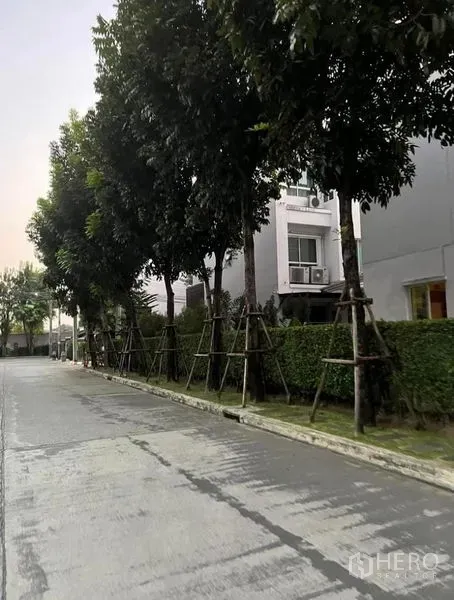 Townhouse for rent or sale in Bueng Kum, Bangkok - Tree-lined residential street with modern townhouse facades in Bueng Kum, Bangkok.