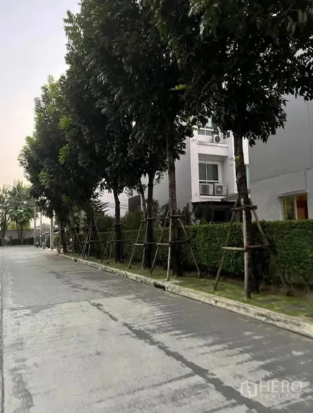 Townhouse for rent or sale in Bueng Kum, Bangkok - Tree-lined residential street with modern townhouse facades in Bueng Kum, Bangkok.