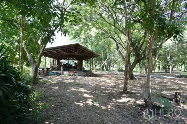 Land for sale in Khlong Luang, Pathum Thani - Open-sided steel-roof shed set among mature trees on a large plot.