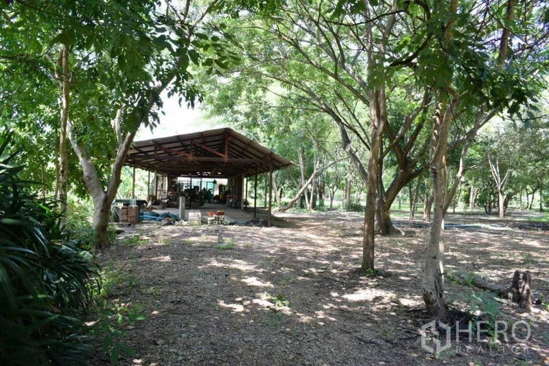 Land for sale in Khlong Luang, Pathum Thani - Open-sided steel-roof shed set among mature trees on a large plot.