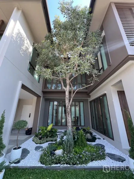 Detached House for rent or sale in Bang Kapi, Bangkok - Courtyard with a mature tree, pebble garden and surrounding floor-to-ceiling windows.