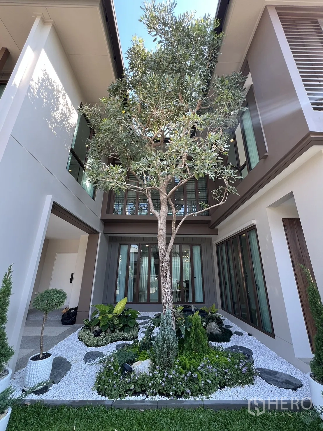 Detached House for rent or sale in Bang Kapi, Bangkok - Courtyard with a mature tree, pebble garden and surrounding floor-to-ceiling windows.