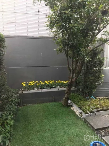 ทาวน์เฮาส์ ให้เช่า - สวนส่วนตัวของทาวน์เฮ้าส์ สนามหญ้า ต้นไม้ใหญ่ และแปลงดอกไม้สีเหลือง