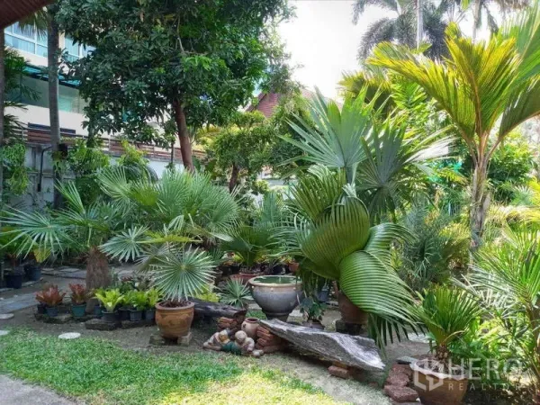 Detached House for rent in Khlong Toei, Bangkok - Spacious tropical garden with palms, potted plants and a grassy lawn.