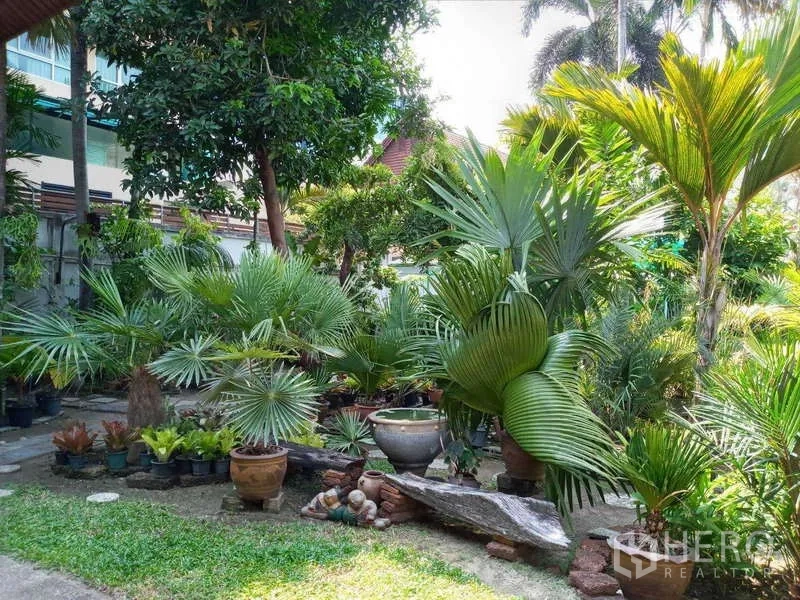 Detached House for rent in Khlong Toei, Bangkok - Spacious tropical garden with palms, potted plants and a grassy lawn.