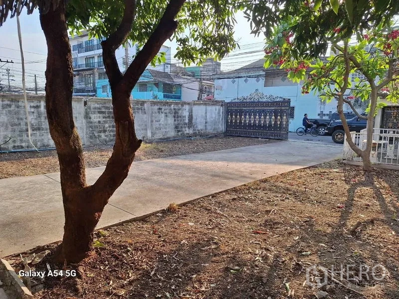 独立式住宅 出租在Bang Na, Bangkok - 花园及空地，有成树与通往前门的铺装通道。