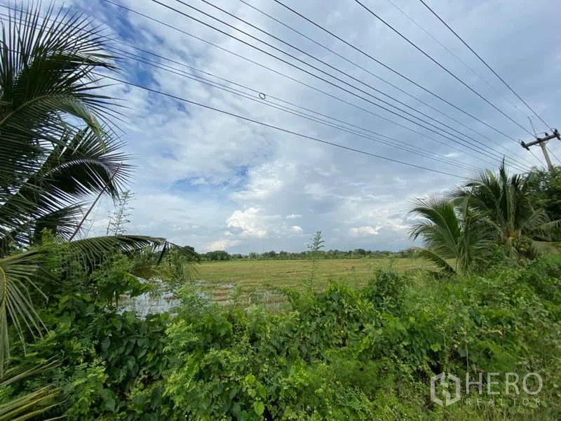 Land for sale in Nakhon Chai Si, Nakhon Pathom - Panoramic farmland from the roadside with power lines and tropical greenery along the plot edge.