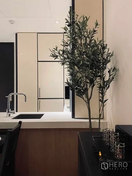 คอนโด ให้เช่าในKhlong Toei, Bangkok - รายละเอียดมุมครัวพร้อมอ่างล้างจาน ตู้สูง และต้นไม้ประดับภายใน