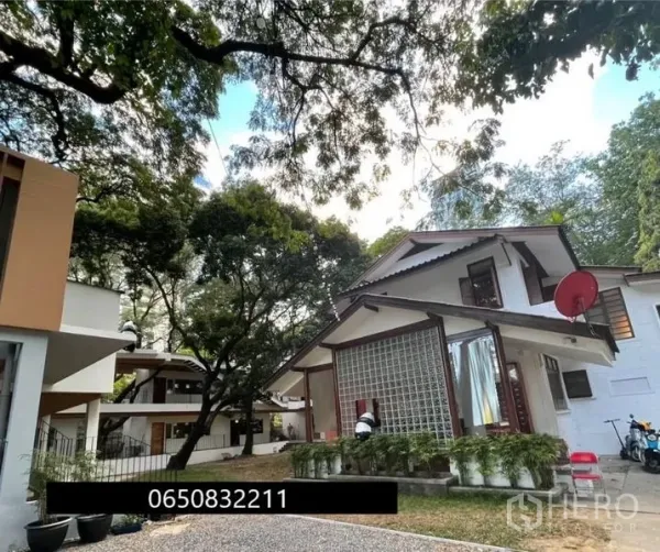 零售空间 出租在Pathum Wan, Bangkok - 花园式低层店铺群，成熟大树遮荫。