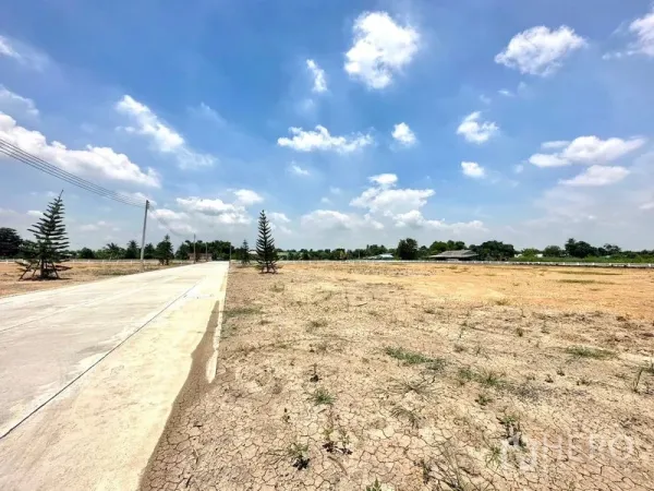 Land for sale in Lam Luk Ka, Pathum Thani - Cleared land plot beside a 14‑meter concrete road under a blue sky.