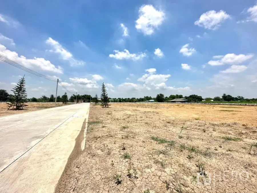 Land for sale in Lam Luk Ka, Pathum Thani - Cleared land plot beside a 14‑meter concrete road under a blue sky.