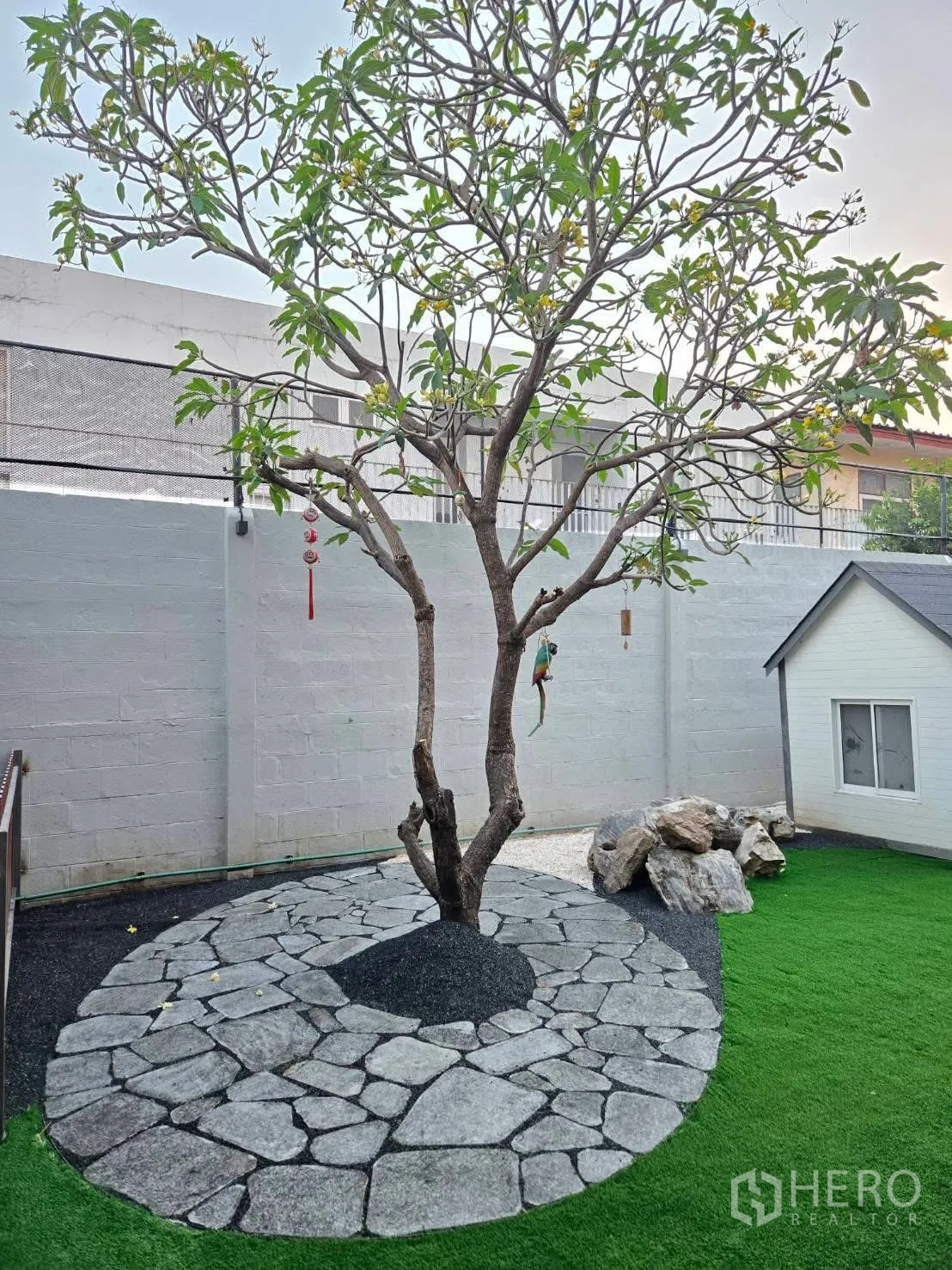 独栋房屋 for rent in Lat Phrao, Bangkok - 景观花园，鸡蛋花树立于石铺圆形平台与人造草坪上。