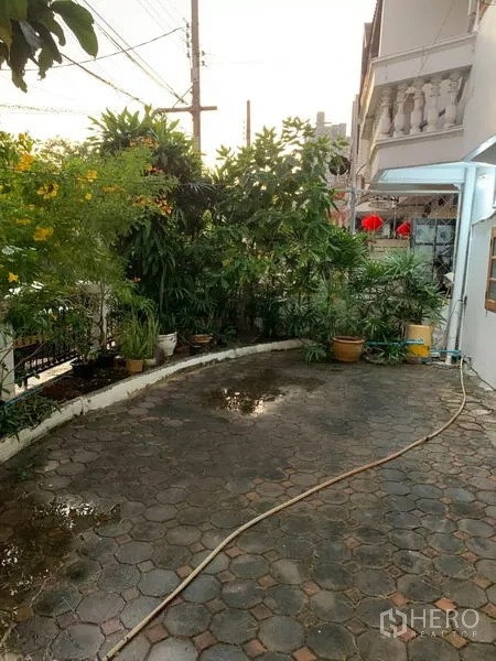 ทาวน์เฮาส์ ให้เช่าหรือขายในPhra Khanong, Bangkok - ลานหน้าบ้านโค้งปูบล็อก พร้อมสายยางรดน้ำ และไม้ประดับเขียวชอุ่ม