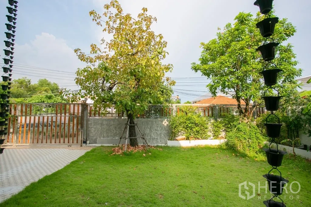 Detached House for rent or sale in Huai Khwang, Bangkok - Sunny garden lawn with mature trees, metal fence and sliding gate, with hanging rain chains.