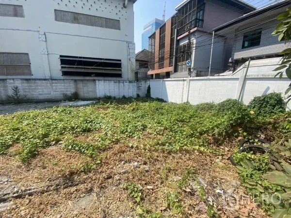 Land for rent in Khlong Toei, Bangkok - Corner of the plot with ground vegetation, bordered by white walls and nearby mixed-use buildings.
