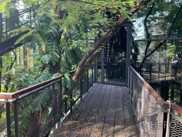 办公空间 出租在Khlong Toei, Bangkok - 阴凉的木质走廊，网状栏杆，旁侧为热带植物与反光玻璃墙。