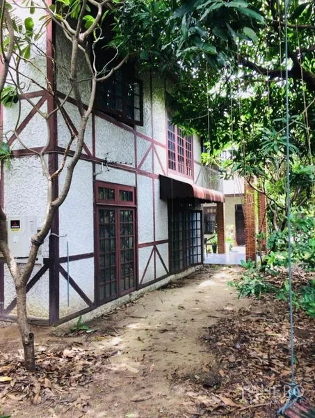 บ้าน ขายในPhra Khanong, Bangkok - ทางเดินสวนร่มรื่นข้างบ้านสองชั้นสไตล์ไม้ประดับและประตูบานกระจก