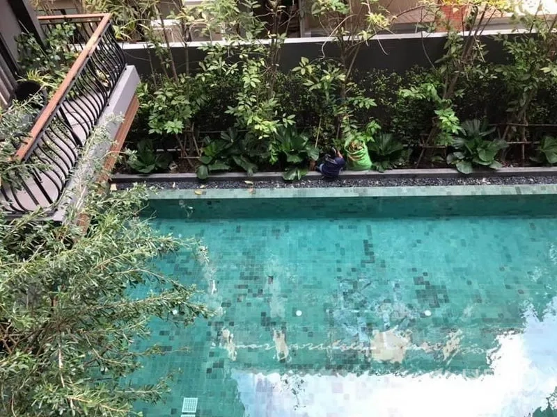 Condominium for rent in Pathum Wan, Bangkok - Outdoor swimming pool with turquoise tiles bordered by lush landscaped greenery.