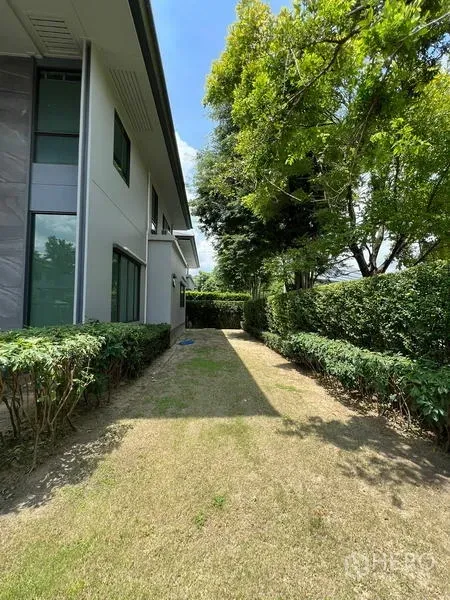 Detached House for rent in Bang Kapi, Bangkok - Side garden with hedges and mature trees beside the house.