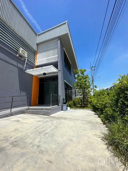 โรงงาน ให้เช่าหรือขายในLam Luk Ka, Pathum Thani - ทางเดินด้านข้างไปยังทางเข้าสำนักงาน มีกันสาดและพุ่มไม้.