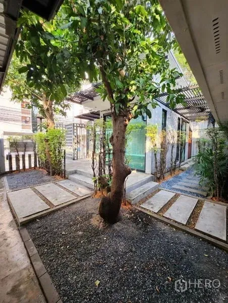 带办公室的家 出租在Lat Phrao, Bangkok - 景观庭院入口，中心大树与碎石步道，台阶通向玻璃房。