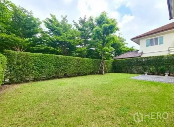 บ้าน ให้เช่าหรือขายในLat Krabang, Bangkok - สนามหญ้าหลังบ้านกว้าง ล้อมด้วยแนวรั้วต้นไม้และต้นไม้ใหญ่