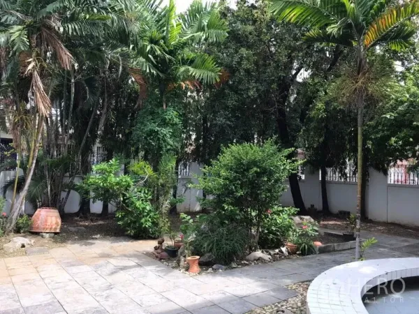 บ้าน ให้เช่าในPhra Khanong, Bangkok - สวนกว้างมีต้นปาล์ม พุ่มไม้ และลานปูหิน