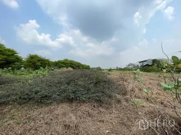 Land for sale in Lam Luk Ka, Pathum Thani - Wide view of a vacant plot with natural vegetation, nearby homes and trees, and an expansive sky in Pathum Thani.