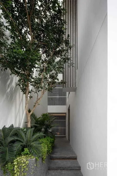 Home Office for rent in Bang Phli, Samut Prakan - Landscaped side garden with mature tree, ferns and concrete planters along a path.