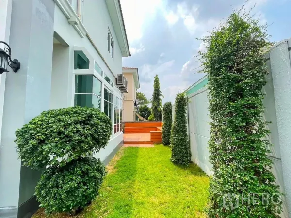独立式住宅 出租在Bang Khen, Bangkok - 房屋侧庭草坪，修剪整齐的绿篱与私享露台。