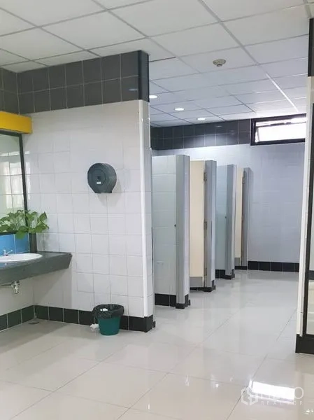 สำนักงาน ให้เช่าในHuai Khwang, Bangkok - ห้องน้ำรวม มีห้องสุขาหลายห้องและอ่างล้างมือ
