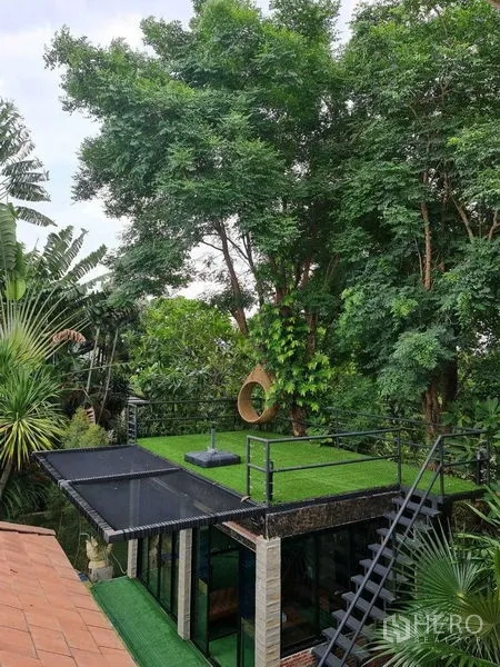 บ้าน ขายในBang Na, Bangkok - ดาดฟ้าปูหญ้าเทียม มุมพักผ่อนมองเห็นต้นไม้เขตร้อน