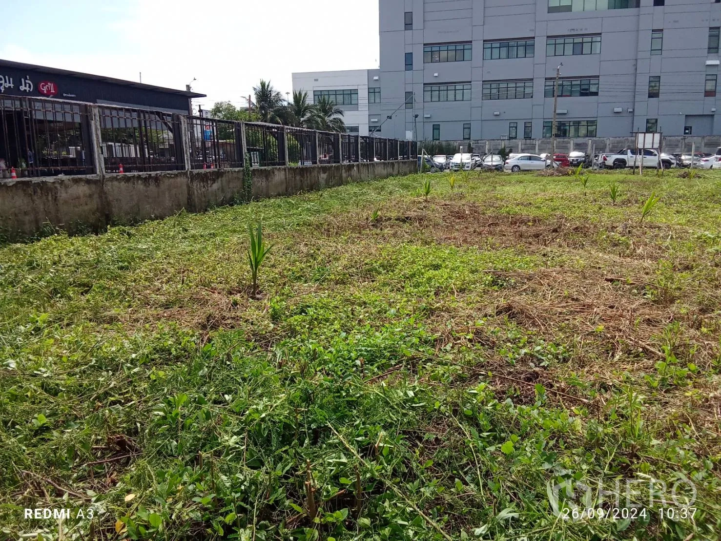 Land for rent in Khan Na Yao, Bangkok - Close view of leveled land next to a black commercial building and boundary wall.