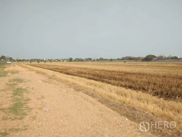 ที่ดิน ขายในLam Luk Ka, Pathum Thani - ทุ่งโล่งติดถนนลูกรัง มองเห็นบ้านในระยะไกล ที่ปทุมธานี