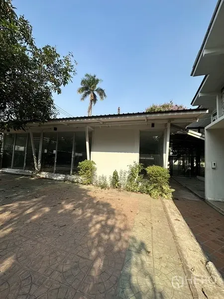 Detached House for rent in Phaya Thai, Bangkok - Single-storey glass-fronted annex beside the main house with palm tree and driveway.