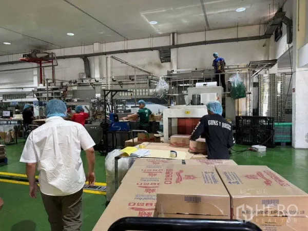 工厂 出售在Samut Prakan - 生产大厅，绿色环氧地坪，传送带与打包工作区。