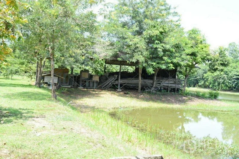 Land for sale in Khlong Luang, Pathum Thani - Lakeside shed beside a pond with trees reflected in the water.