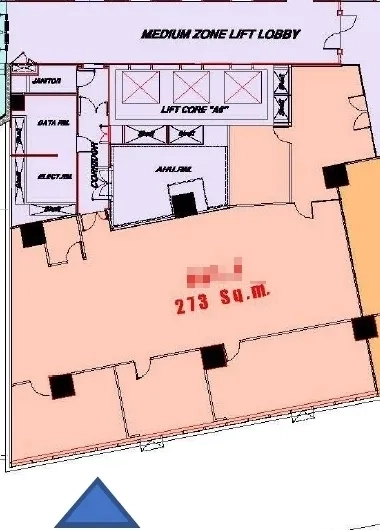 办公空间 出租在Chatuchak, Bangkok - 平面图，标注273平方米的办公室单元及电梯大堂位置。