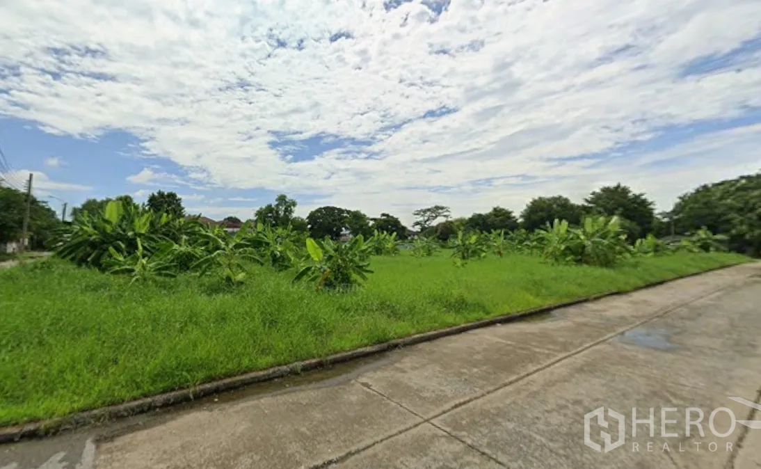 ที่ดิน for rent in Prawet, Bangkok - ที่ดินโล่งมีหญ้าและต้นกล้า อยู่ติดถนนคอนกรีต ใต้ท้องฟ้าเปิดกว้าง